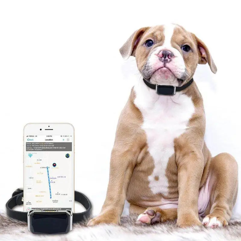 Waterproof IP67 Pet Collar with Wifi Light GPS Tracker Anti-Lost Location Device for Dogs Kids Personal Locator