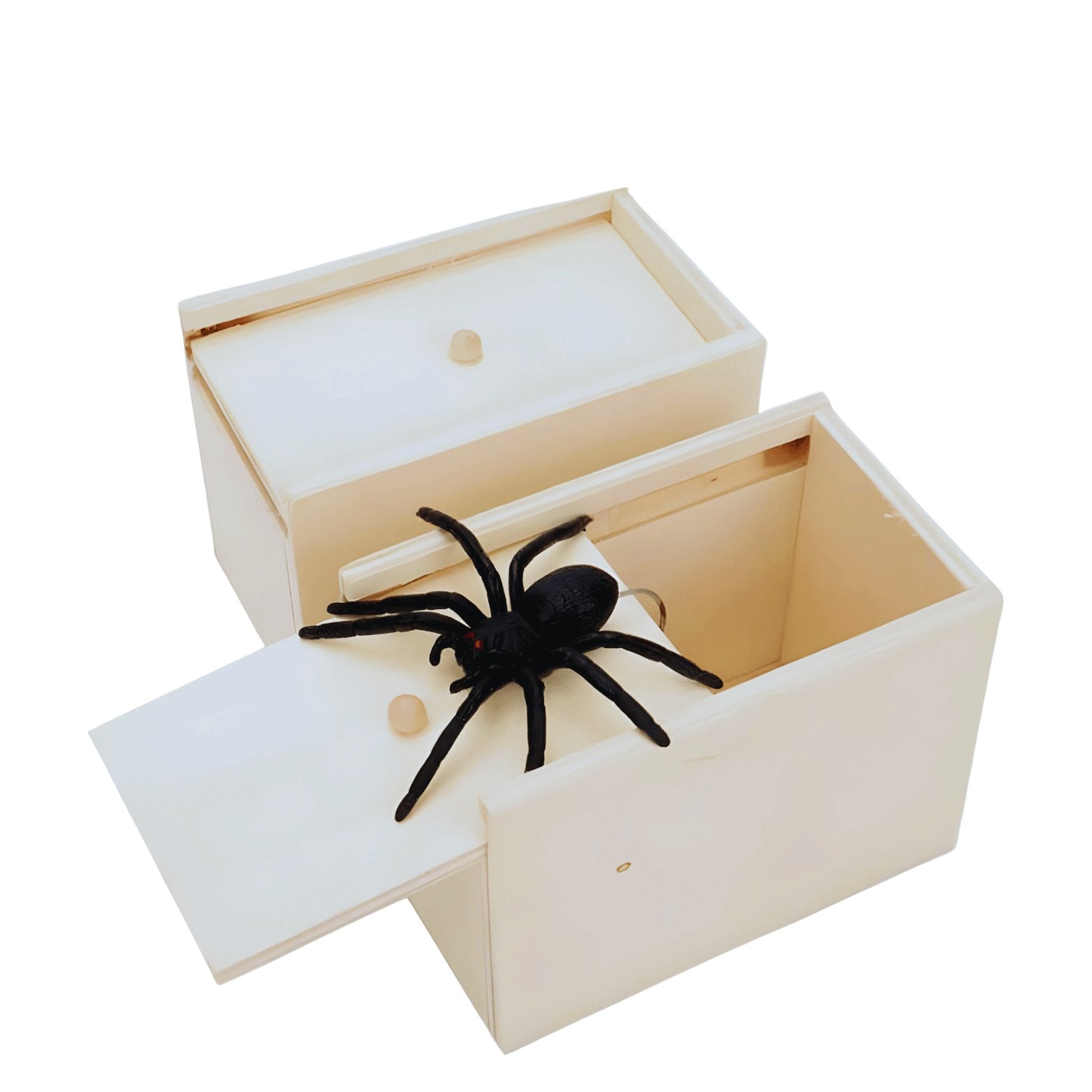 🕷️ Spider Prank Scare Box - The Perfect Gag for Thrills and Laughs! 😂🎁 - Merkanny