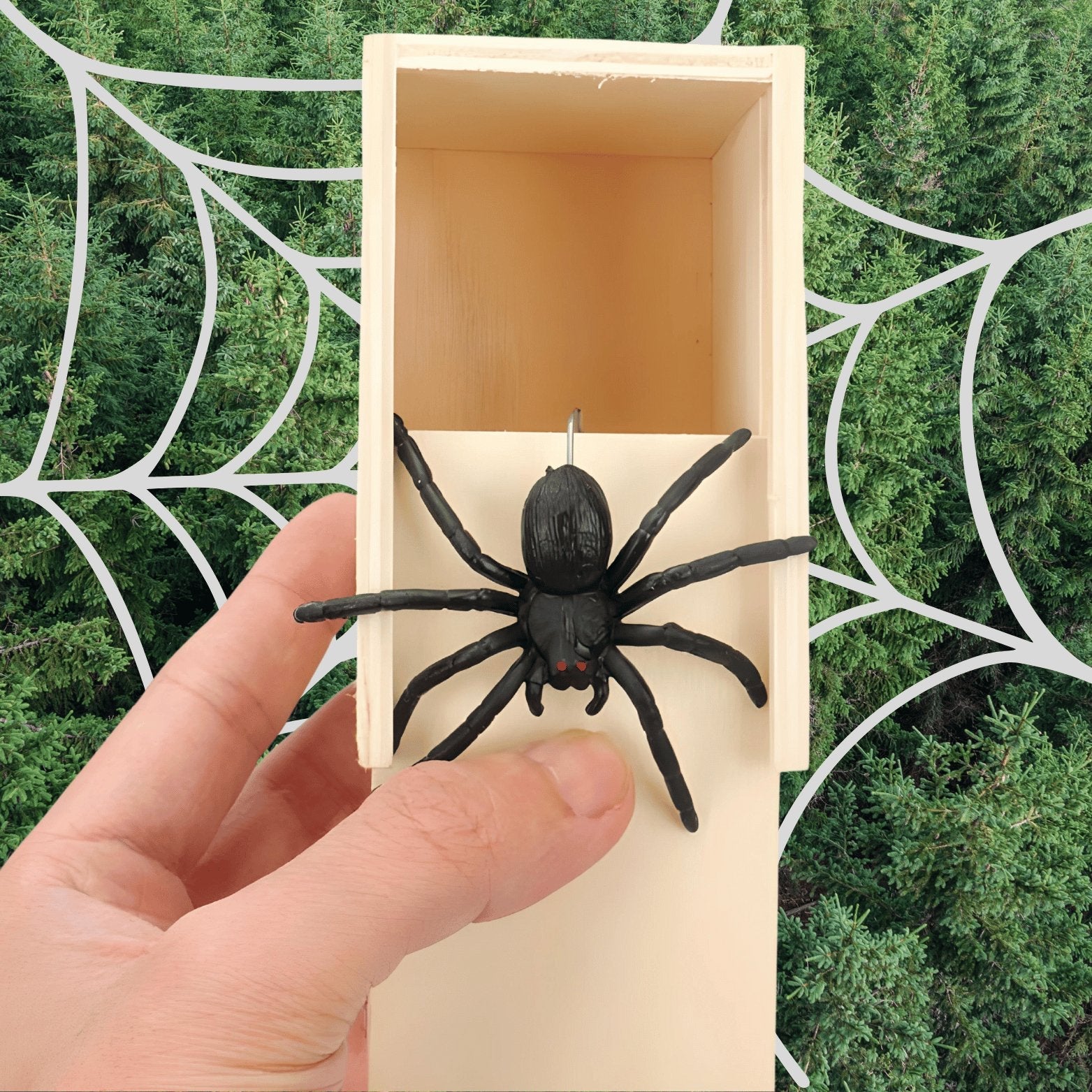 🕷️ Spider Prank Scare Box - The Perfect Gag for Thrills and Laughs! 😂🎁 - Merkanny